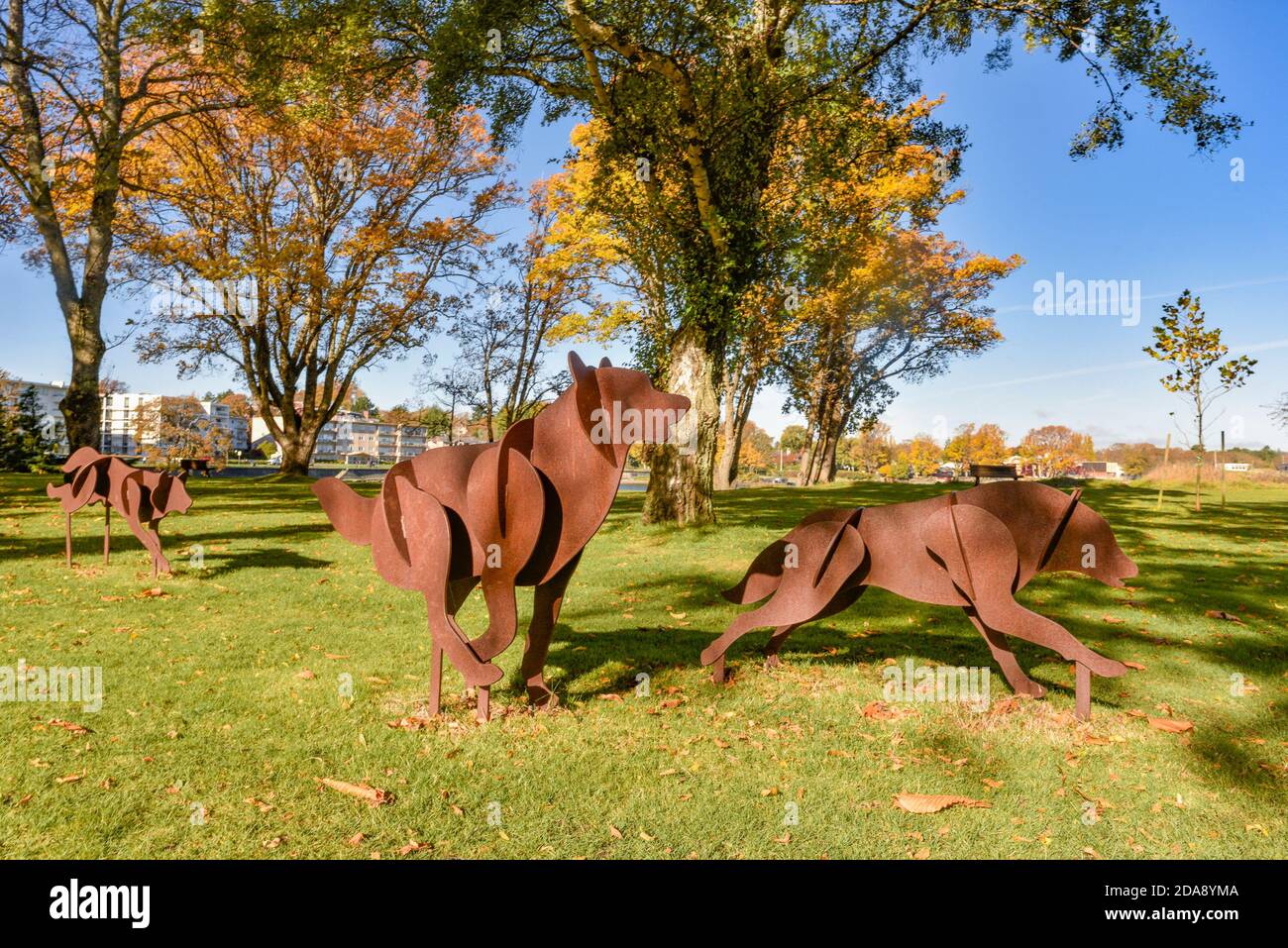 Wolf Kunstinstallation, Skulptur, The Hunt des Künstlers Ken Hall, , Queen's Park, Oak Bay, British Columbia, Kanada Stockfoto