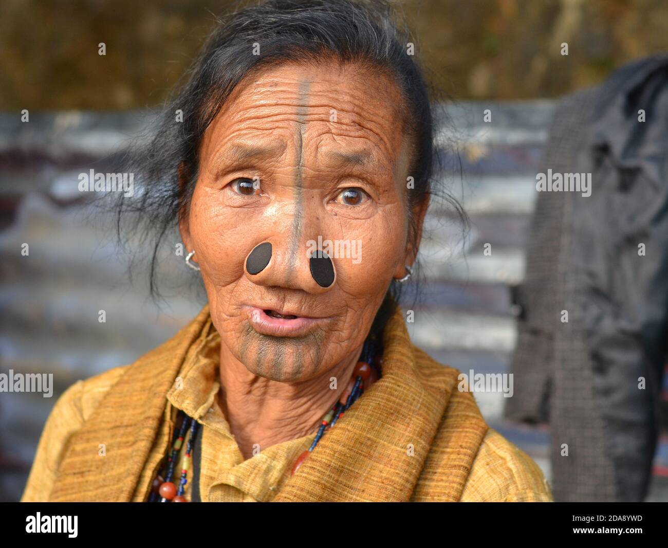 Ältere nordöstliche indische Apatani ethnische Minderheit Stammesfrau mit schwarzen hölzernen Nasenstopfen und traditionellen Gesichts-Tattoos Posen für die Kamera. Stockfoto