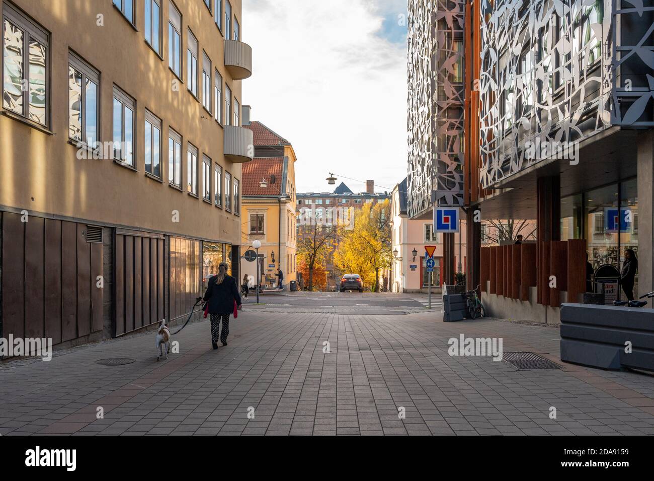 Hundewanderung auf der historischen Straße Hospitalsgatan in der Altstadt von Norrkoping im Spätherbst. Norrkoping ist eine historische Industriestadt Stockfoto