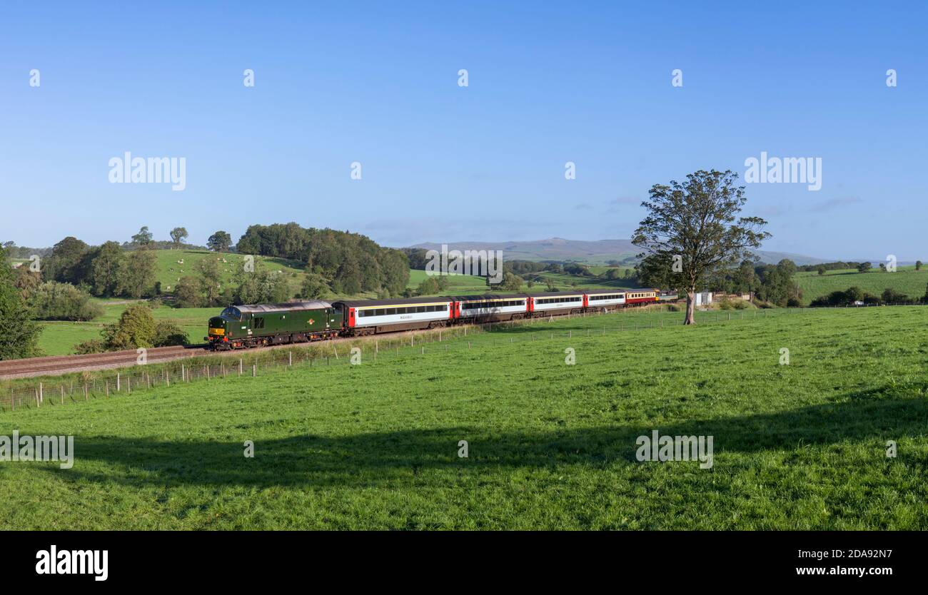 Der Touristenzug 'Staycation Express', der Coniston Cold, Yorkshire mit einer Lokomotive der Baureihe 37 passiert, Stockfoto