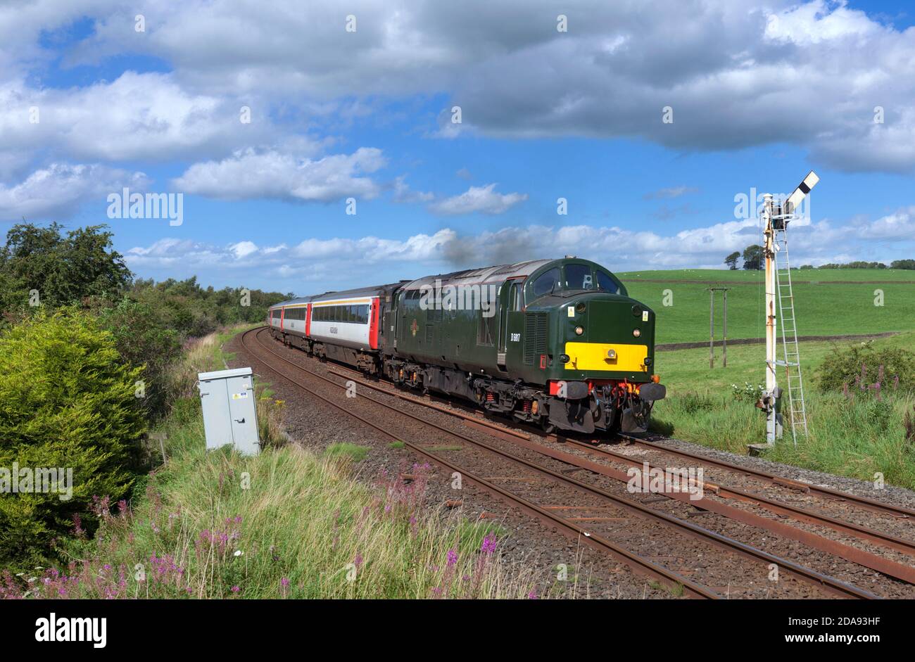 Lokomotiven Dienste der Baureihe 37 Lokomotive 37521, die das Semaphore-Signal passiert In Hellifield mit dem Touristenzug 'Staycation Express' Stockfoto