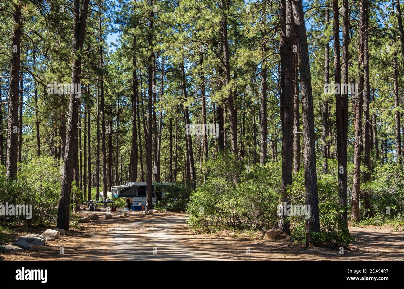 Hauptcampingplatz, Mancos State Park, Mancos, Colorado. Stockfoto