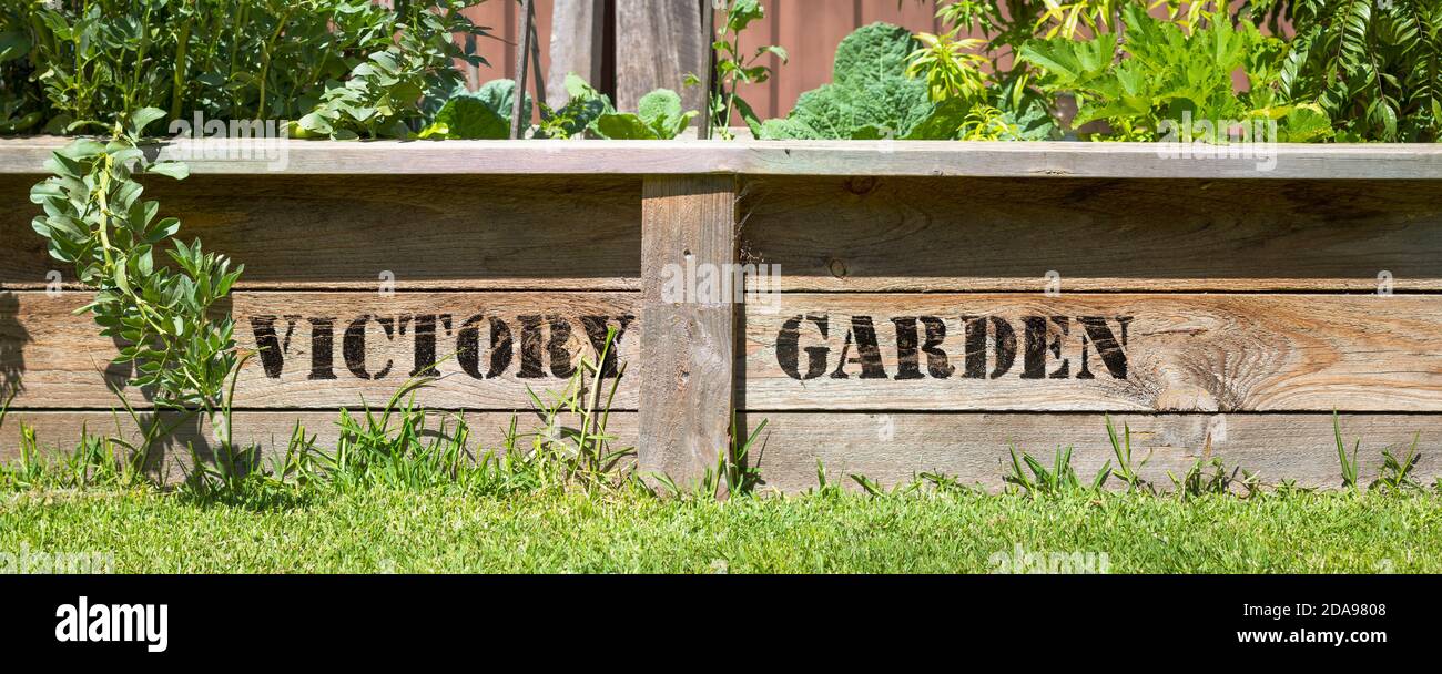 Victory Garden Zeichen auf erhöhten Gemüsebeet, sparen Sie Geld und bauen Sie Ihr eigenes Lebensmittelkonzept Stockfoto