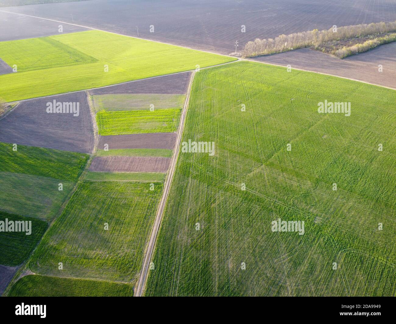 Kleine landwirtschaftliche Plantagen mit verschiedenen Kulturen und Anbaukulturen in Ländliche Gebiete Stockfoto