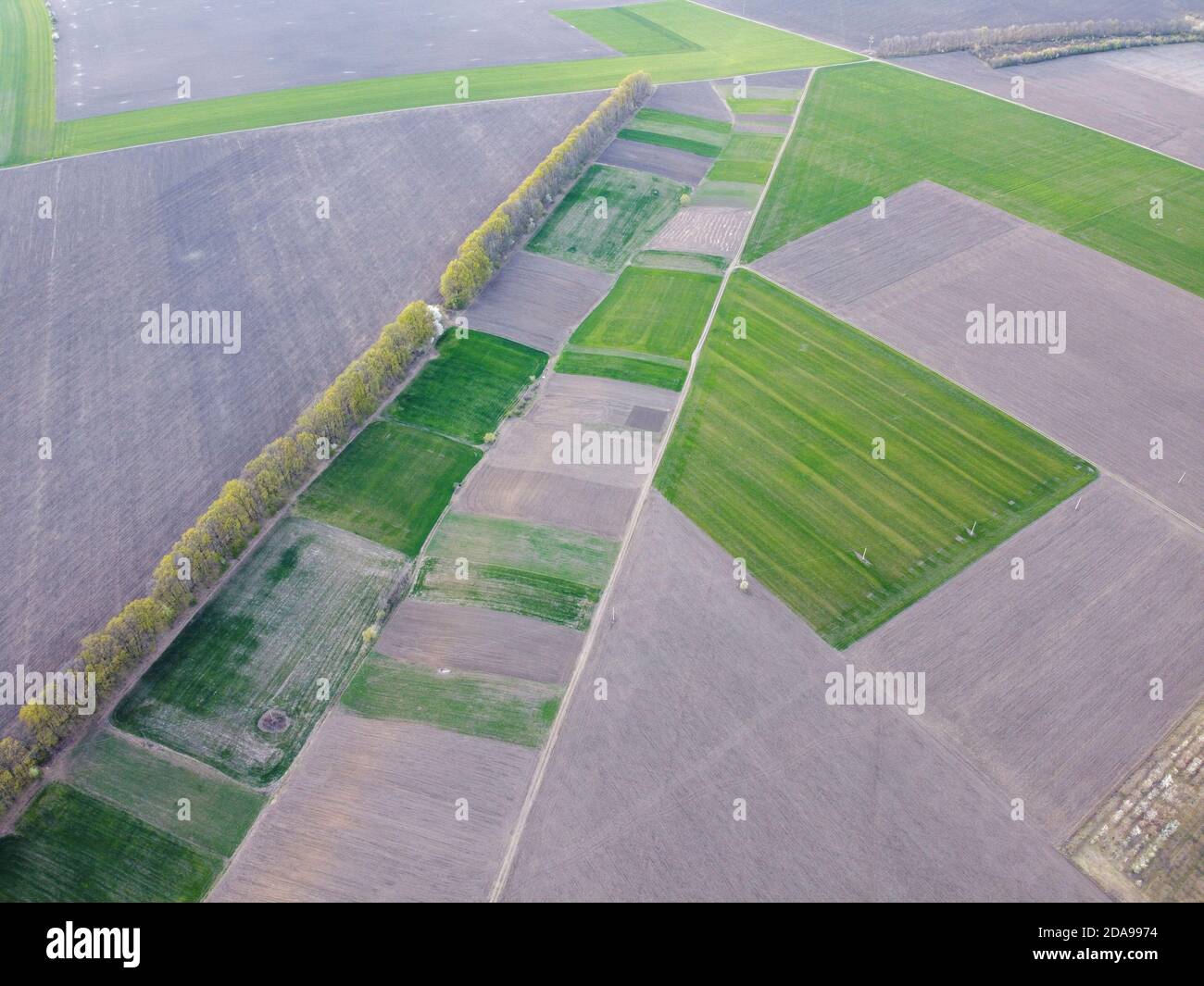 Kleine landwirtschaftliche Plantagen mit verschiedenen Kulturen und Anbaukulturen in Ländliche Gebiete Stockfoto