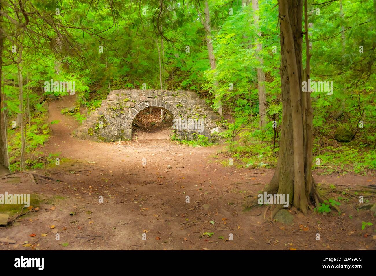 Eugenia Falls Conservation Area Flesherton Owen Sound Ontario Kanada in Sommer Stockfoto