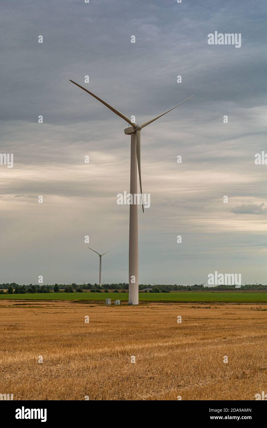 Windmill Farm Stockfoto
