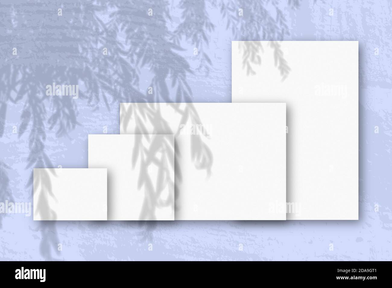 Mehrere horizontale und vertikale Blätter aus weißem strukturiertem Papier vor einem blauen Wandhintergrund. Mockup mit einer Überlagerung von Pflanzenschatten. Tageslicht Stockfoto