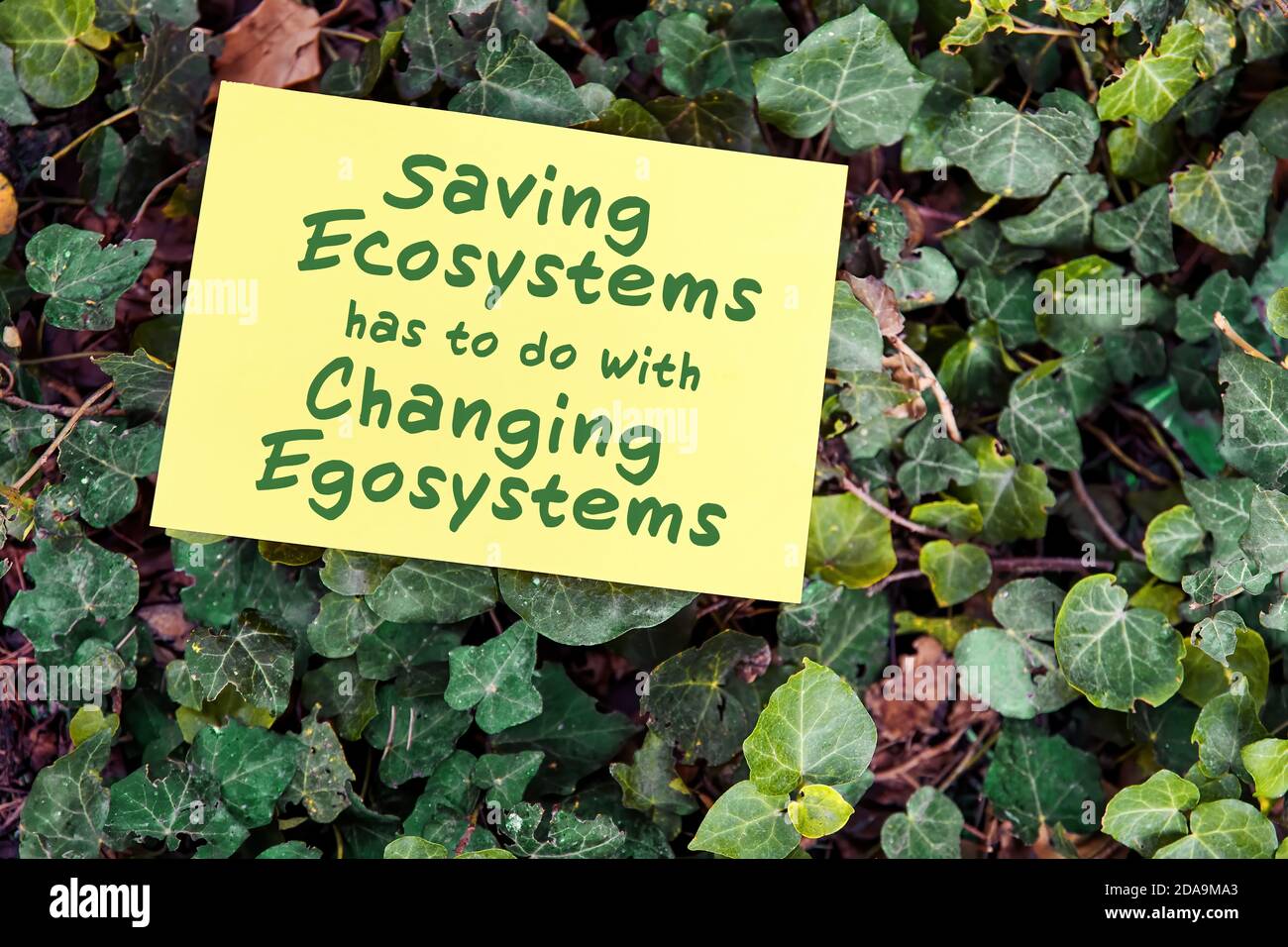 Das Einsparen von Ökosystemen hat mit einem sich ändernden Egosystem-Zitat zu tun, das auf Papier auf grünem Garten und Blatthintergrund geschrieben wurde. Umweltschutz und menschliche CO Stockfoto
