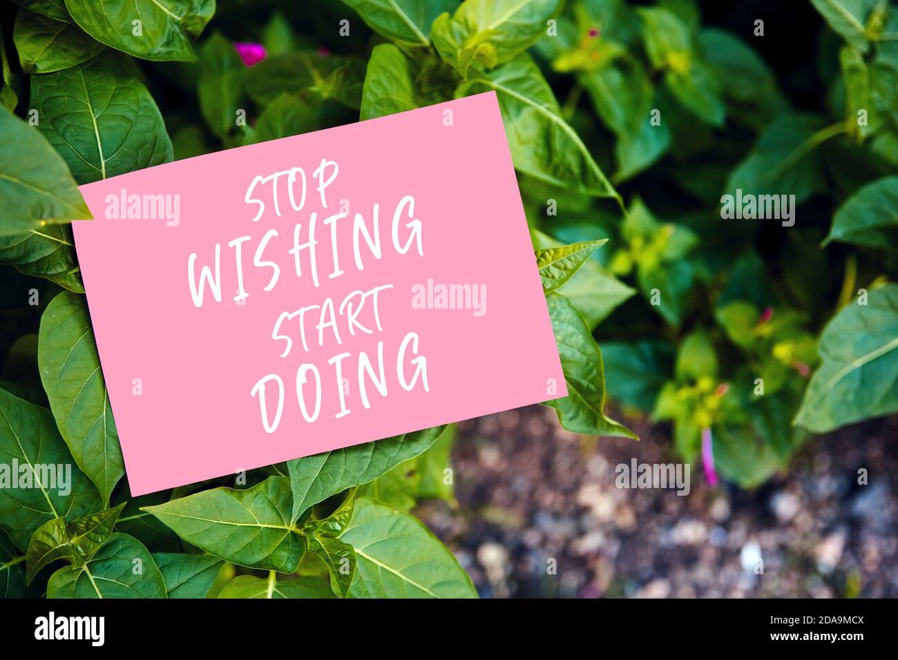 Stoppen Sie, das zu tun beginnen Zitat geschrieben auf Papier auf grünem Garten und Blatthintergrund. Maßnahmen ergreifen, um im Geschäft oder im Leben Erfolge zu erreichen. Stockfoto