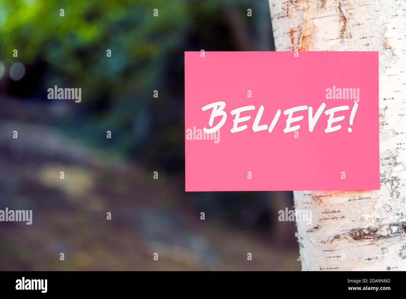 Das Wort glauben auf Papier auf einem Baum in der Natur geschrieben. Glaube und Glaube Konzept. Stockfoto