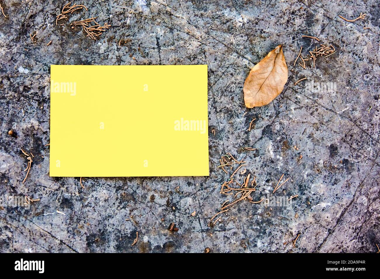 Leeres, leeres gelbes Papier, das auf einem Felsenhintergrund mit einem trockenen Blatt in der Natur aufliegt. Stockfoto