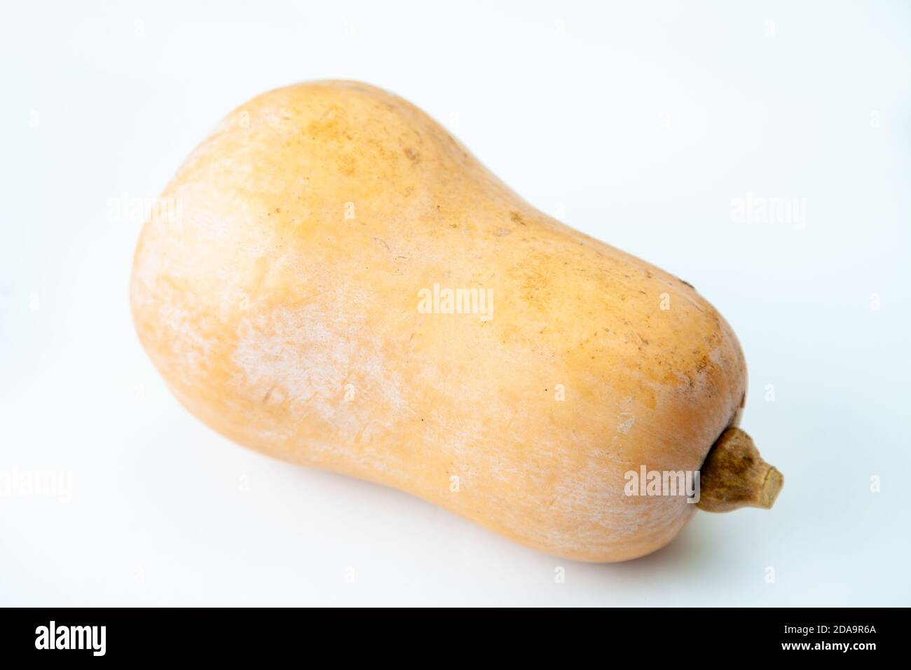 Butternut-Kürbis auf weißem Hintergrund fotografiert Stockfoto