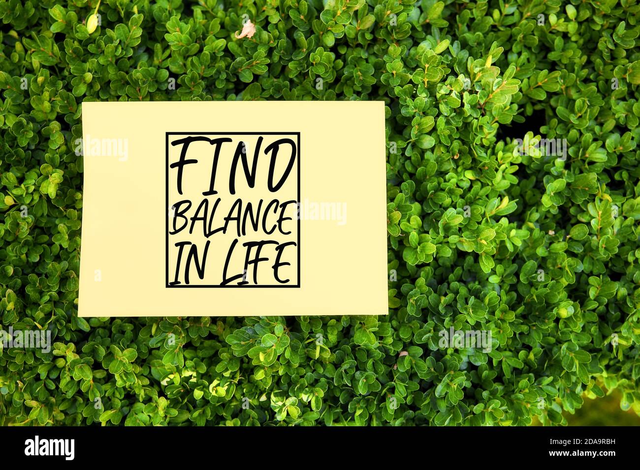 Motivierende Zitat finden Gleichgewicht im Leben auf Papier in einem Garten in der Natur geschrieben. Wohlfühlkonzept. Stockfoto