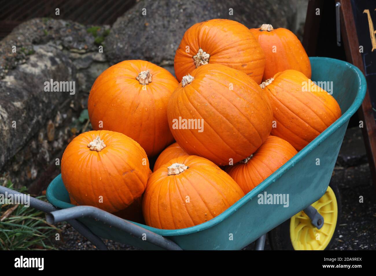 Auswahl an Kürbissen, die bei einem Halloween-Event in Chihcester, West Sussex, UK, abgebildet sind. Stockfoto