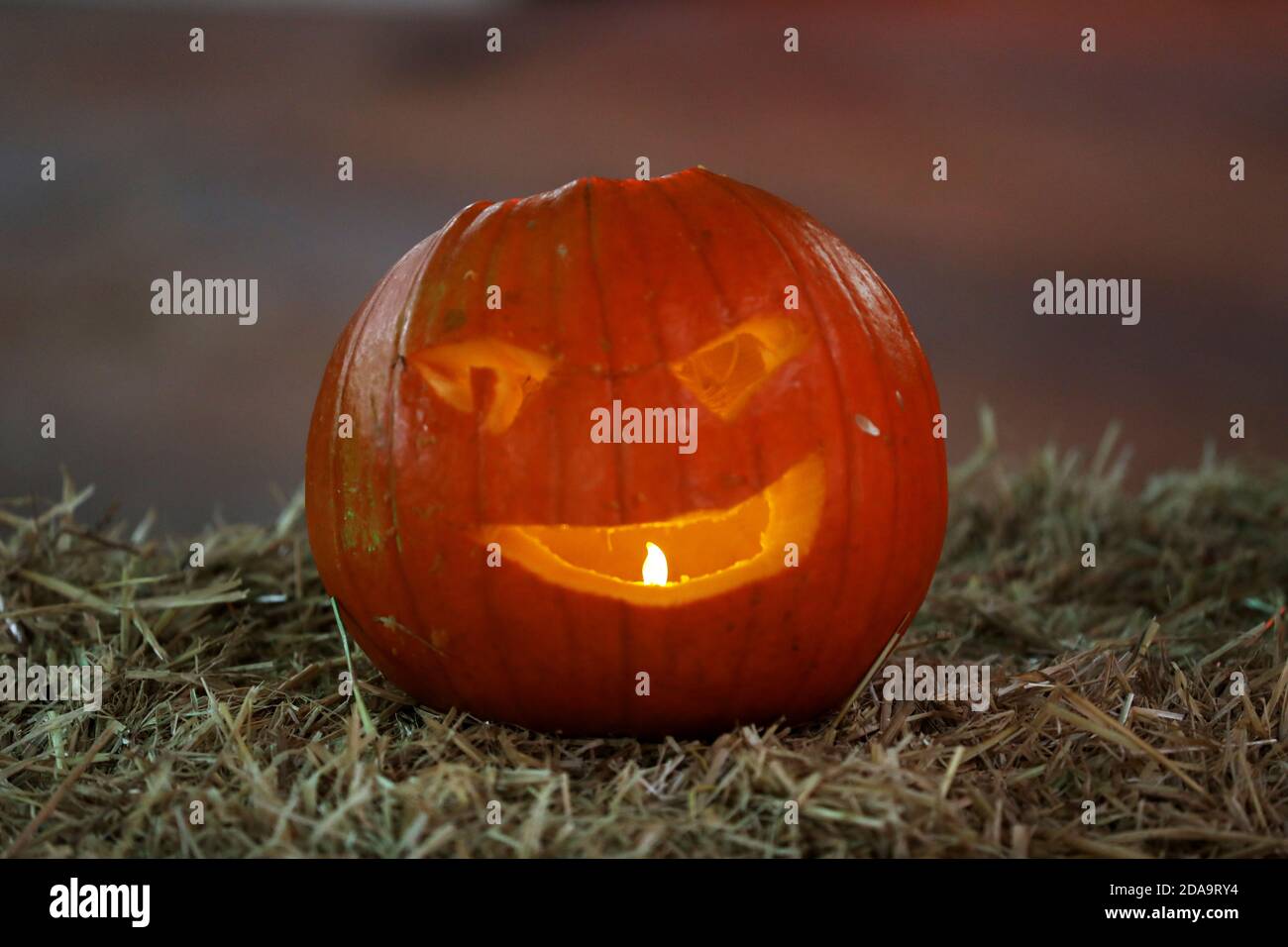 Auswahl an Kürbissen, die bei einem Halloween-Event in Chihcester, West Sussex, UK, abgebildet sind. Stockfoto