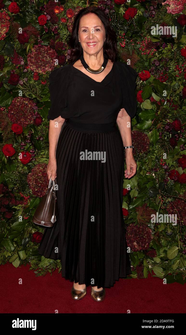 Nov 24, 2019 - London, England, UK - die 65. Evening Standard Theatre Awards 2019 Fotoausstellungen: Arlene Phillips Stockfoto