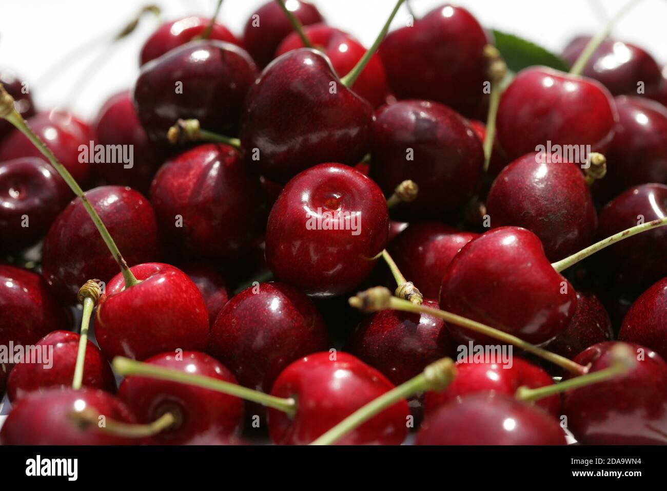 Fruta de ilustración -Fotos und -Bildmaterial in hoher Auflösung – Alamy
