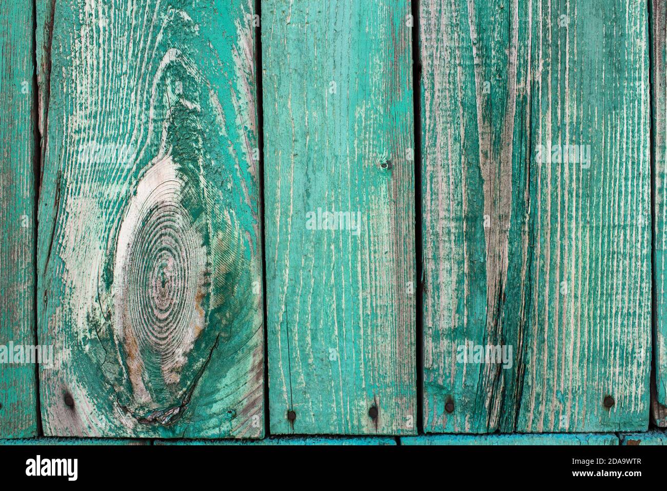 Alte Holzbretter. Die Textur von Holzbrettern mit grüner Farbe bedeckt. Stockfoto