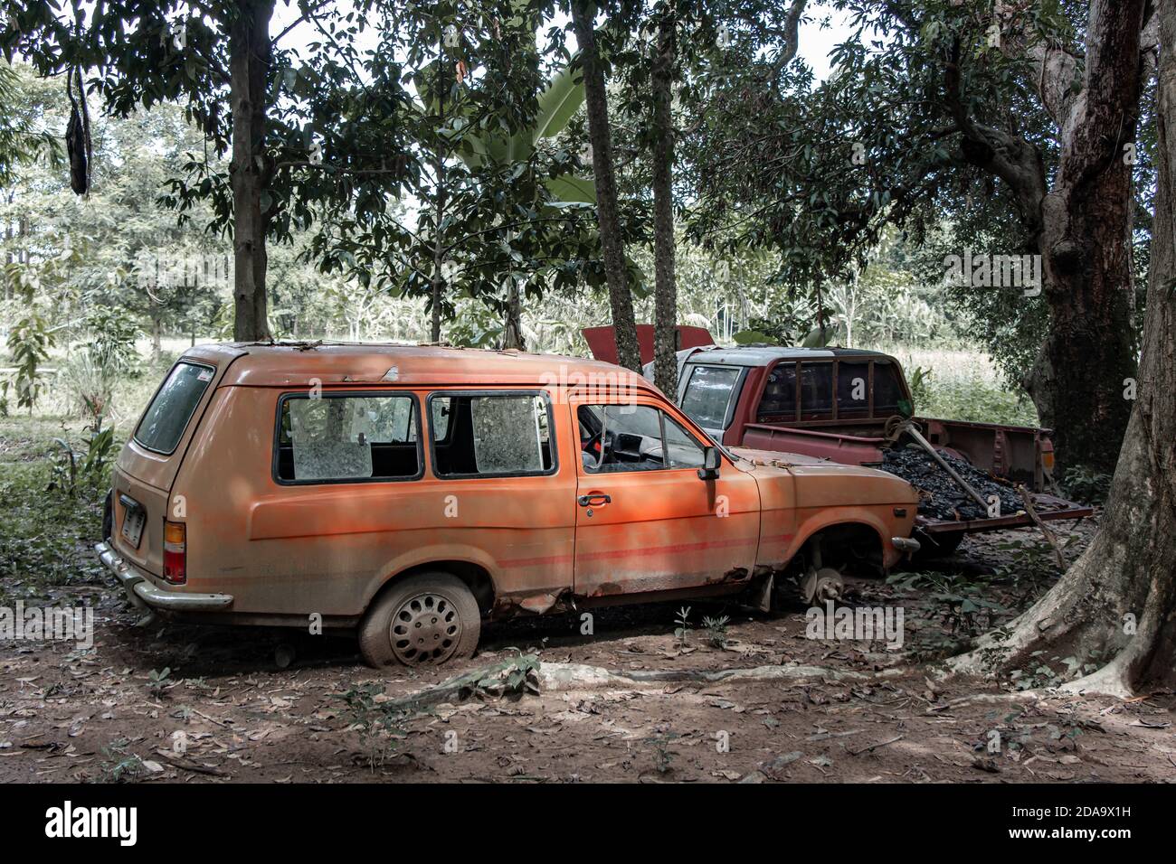 Wracks von alten Autos unter den Bäumen im Wald. Stockfoto