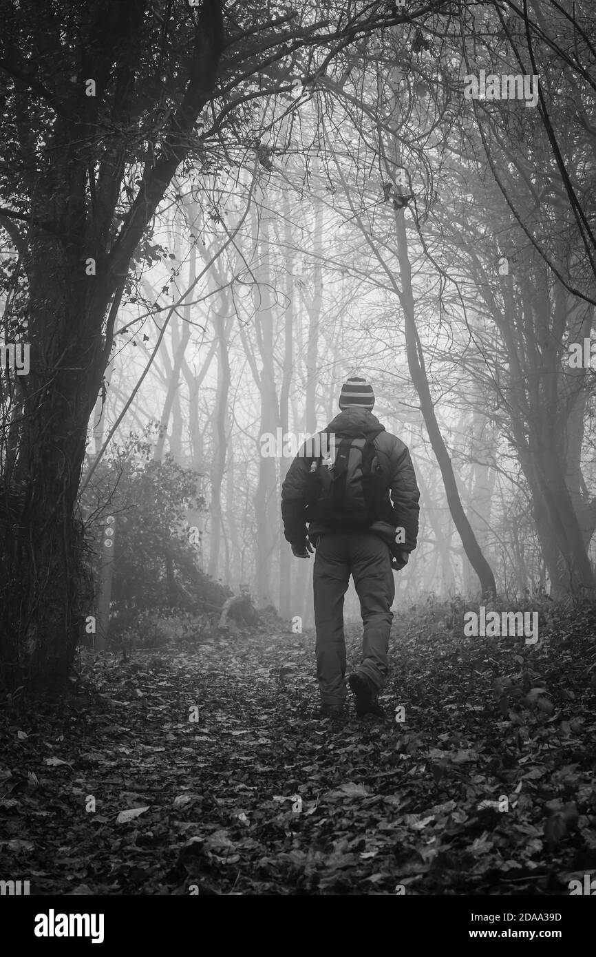 Monochrome Rückansicht von isolierten Mann mit Rucksack zu Fuß im Freien in UK Wald in frühen Morgen Herbst Nebel. Stockfoto