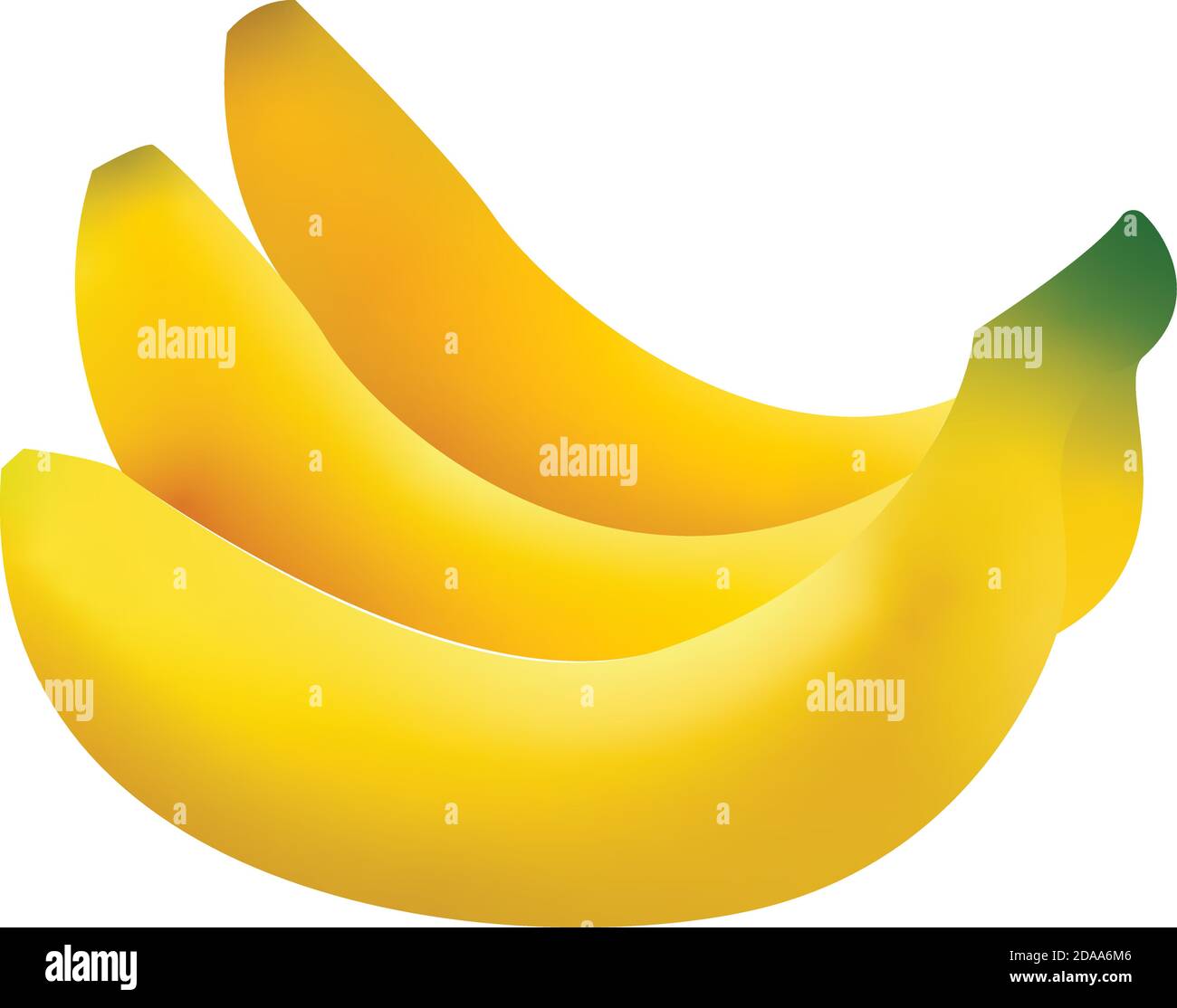 3d-Vektor realistische Darstellung von Bananenbündel. Banane isoliert auf weißem Hintergrund, Bananensymbol. Stock Vektor