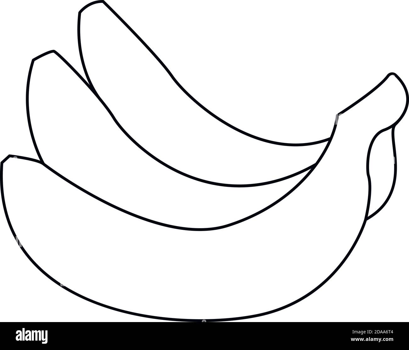 Linienvektor realistische Darstellung von Bananenbündel. Banane isoliert auf weißem Hintergrund, Bananensymbol. Stock Vektor