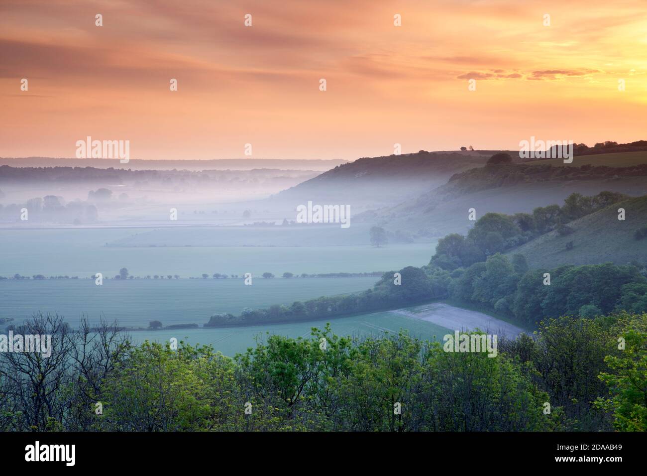 Sonnenaufgang am südlichen Rand des Nadder Valley, in der Nähe von Fovant im Südwesten von Wiltshire. Stockfoto