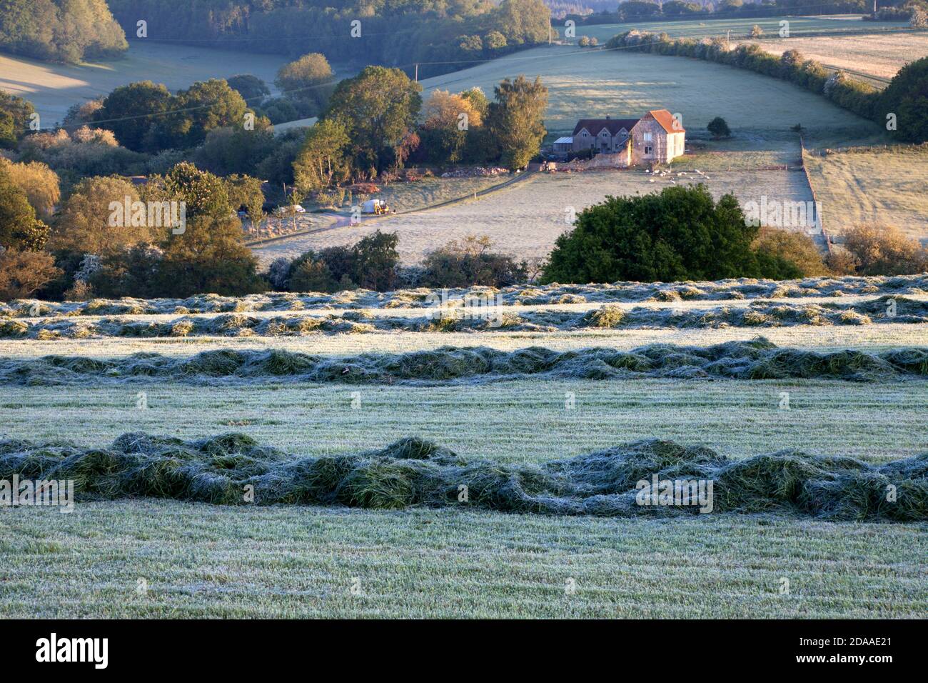 Gras auf Heulage in einem Feld in der Nähe von Tisbury in Wiltshire geschnitten. Stockfoto