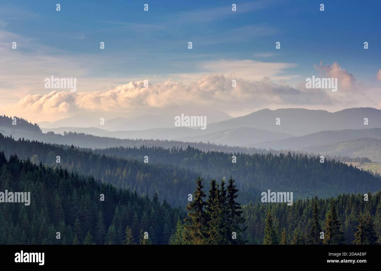 Schöne Landschaft in den Bergen. Sonnenaufgang. Am frühen Morgen lag das Licht auf einem Berg. Stockfoto