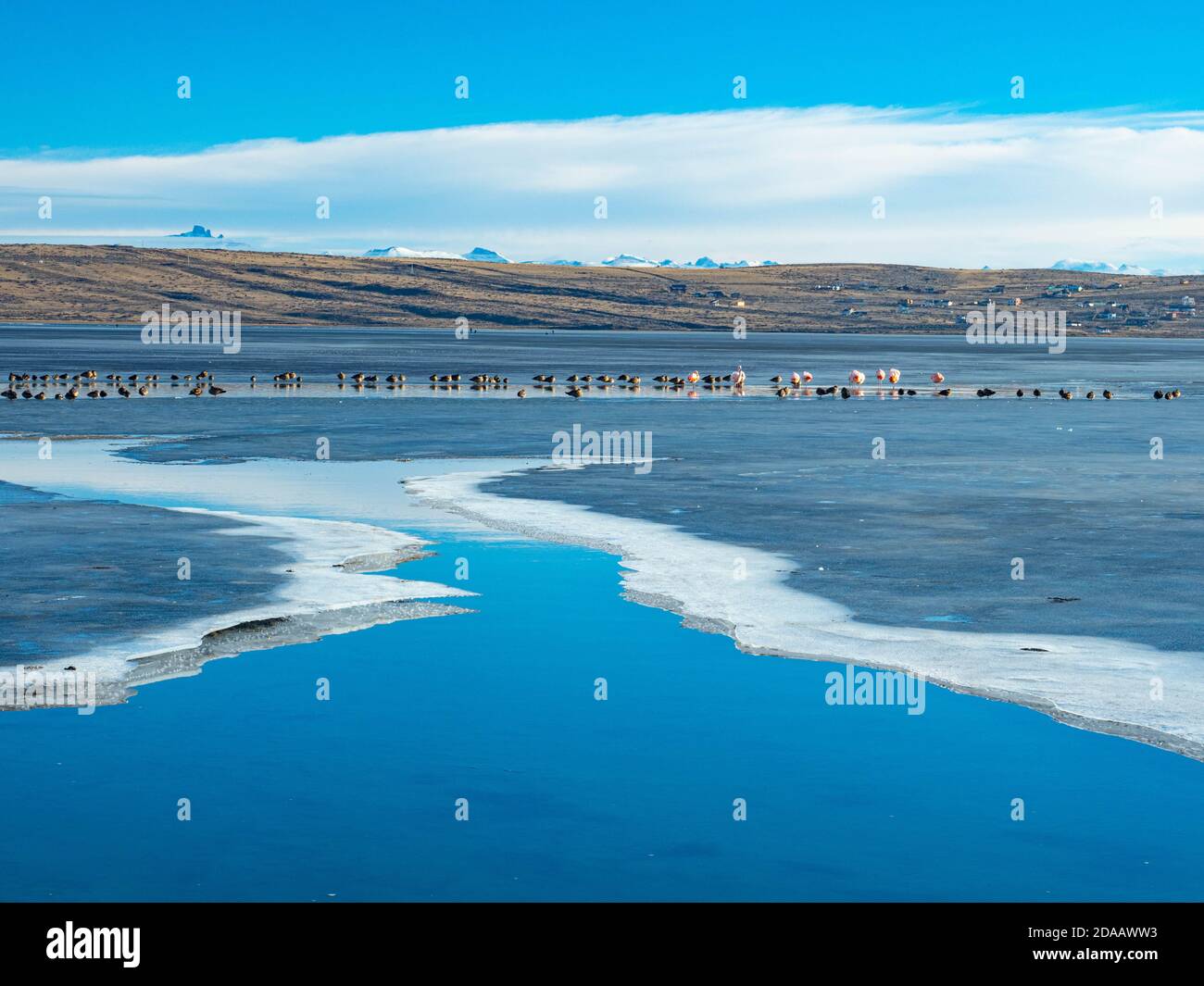 Lago lago argentino Fotos und Bildmaterial in hoher Auflösung Alamy