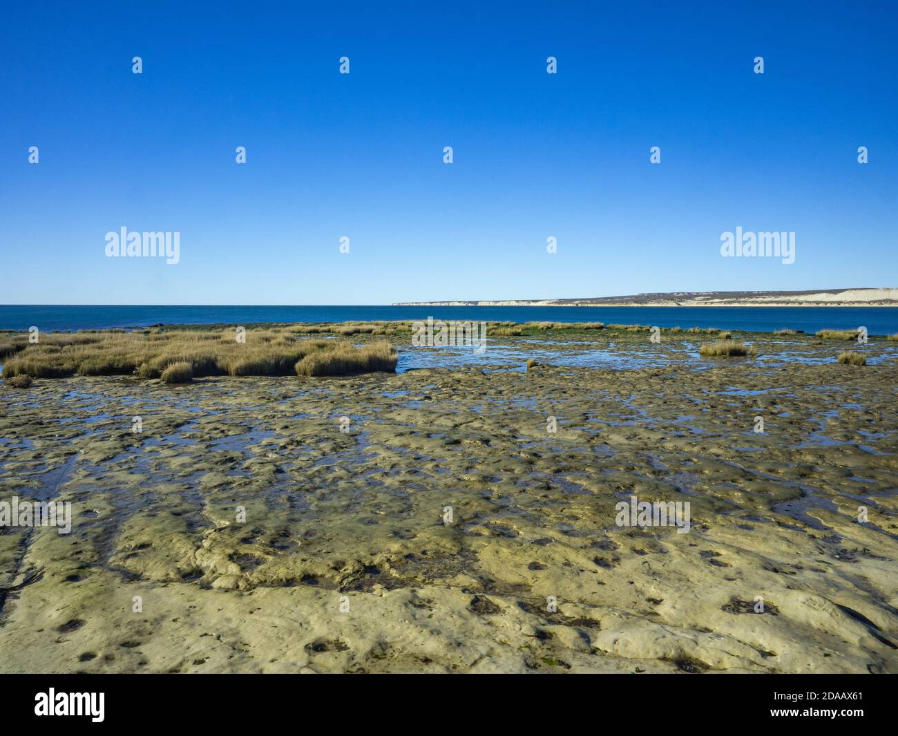 Puerto Madryn est une ville de la Province de Chubut, en Argentine, et le Chef-lieu du département de Biedma. Elle se trouve au Bord de l'océan Atlant Stockfoto