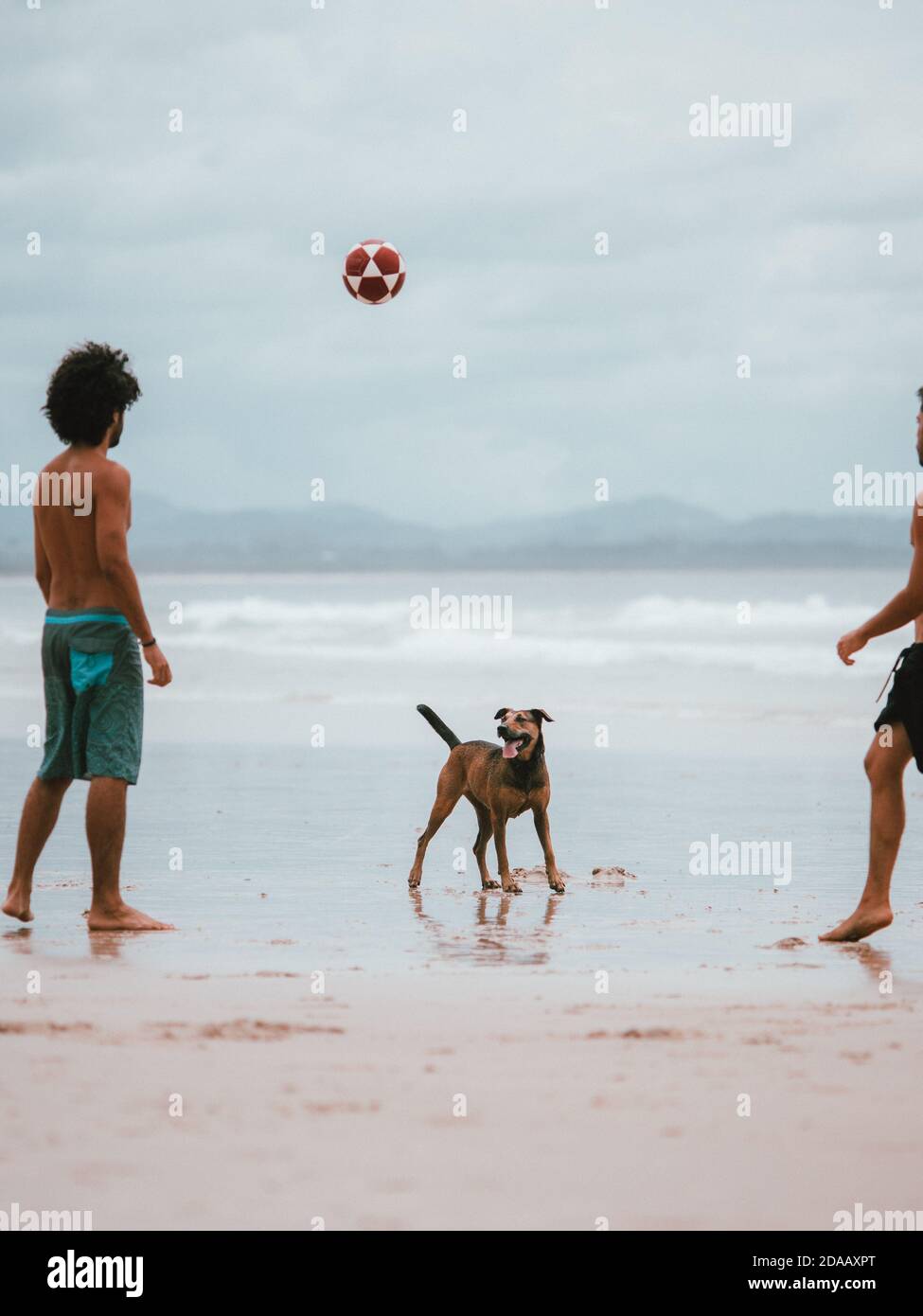 Einige Männer spielen Fußball an einem Strand in Byron Bay, Australien, mit einem Hund, der den Ball jagt Stockfoto