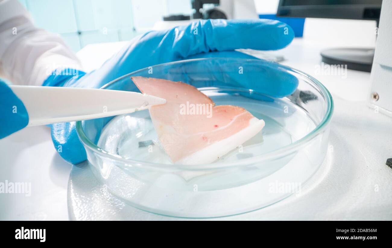 Prüfung der Fleisch- und Fischqualität im Labor für Lebensmittelqualität Stockfoto
