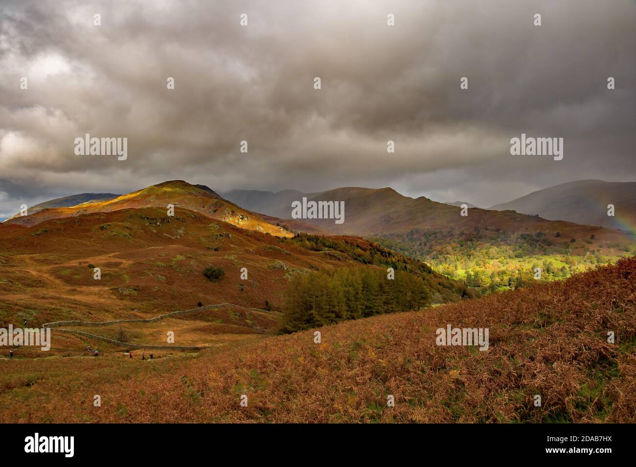 Ein Regenbogen über sonnenbeschienenen Hügeln mit Farnen und Herbst geschmückt Colours at Loughrigg fiel in der Nähe von Amblesdie im englischen See Bezirk Stockfoto