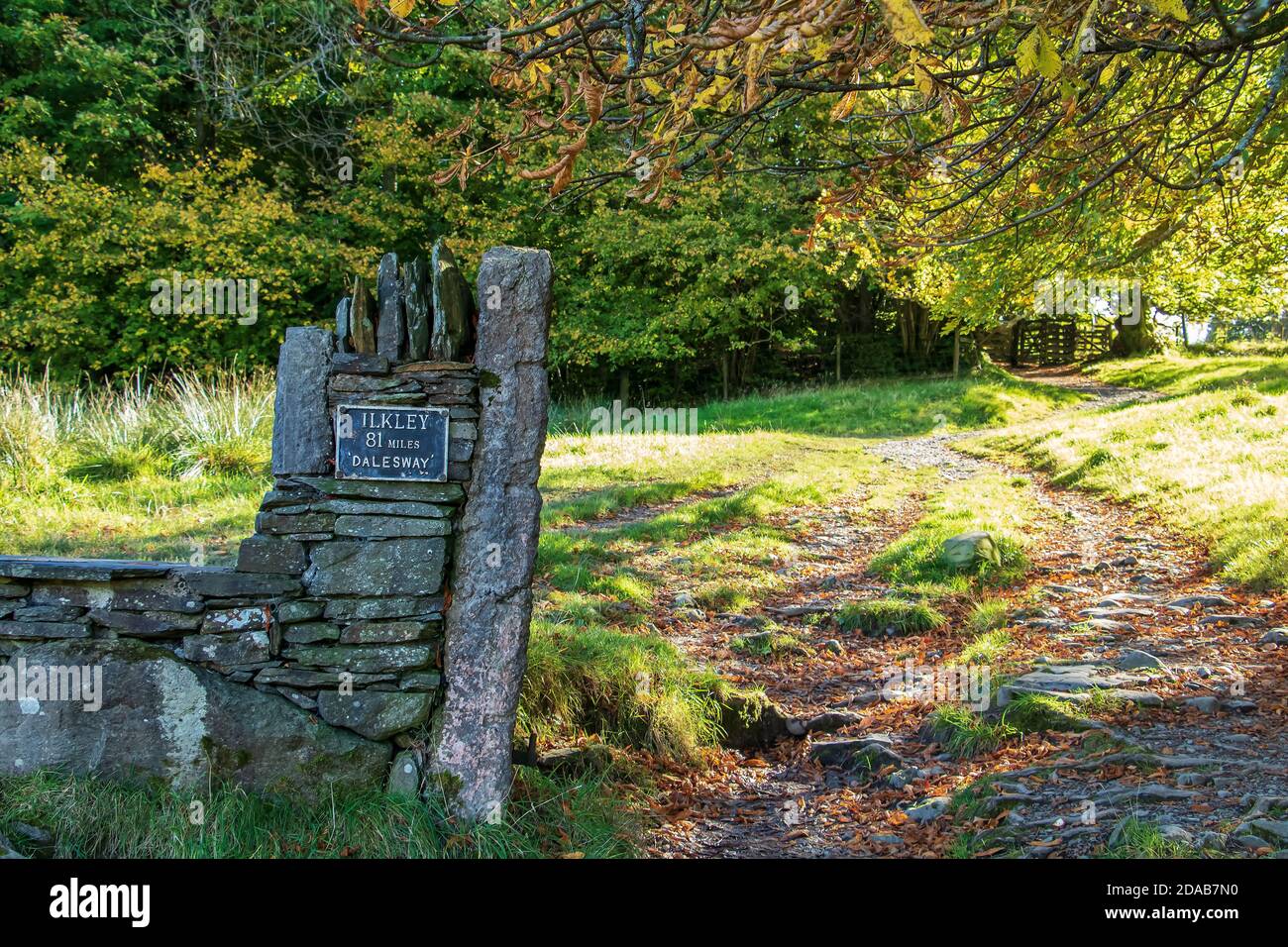 Herbstfarben und Wegweiser nach Ilkley auf dem Dalesway Wanderweg Im englischen Lake District bei Bowness-on-Windermere Stockfoto