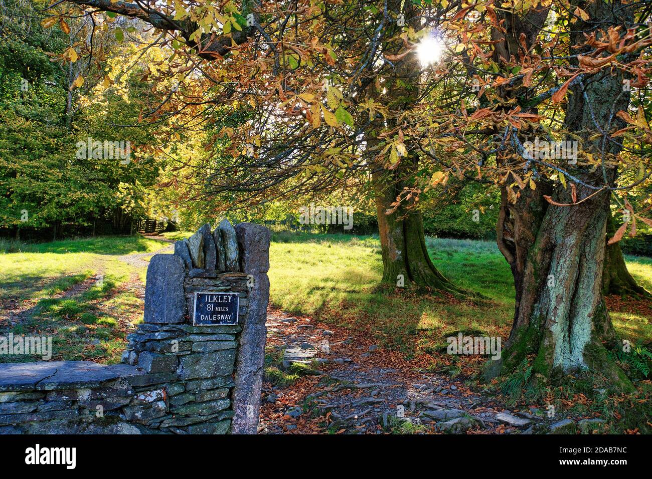 Sunburst durch Baum in Herbstfarben und Zeichen nach Ilkley Auf dem Dalesway Wanderweg im englischen Lake District in der Nähe Bowness-on-Windermere Stockfoto