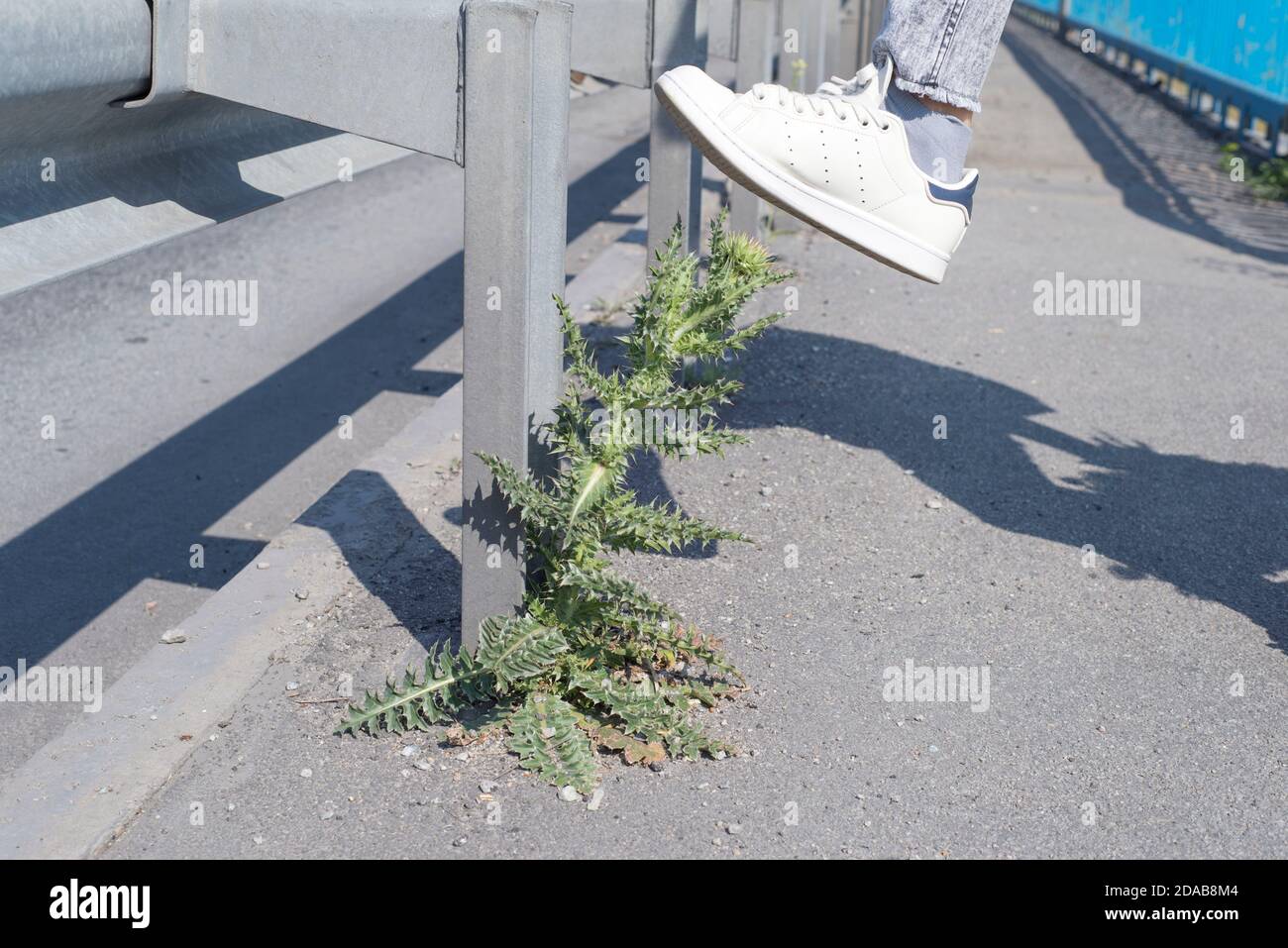 Eine kurvenreiche Straße, die mit Straßenbarrieren aufwärts führt. Stockfoto