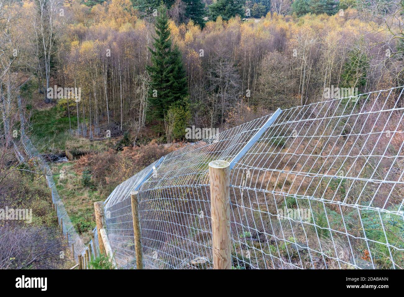 Das eingezäunte Gehege für den Biberfreisetzungsversuch im Cropton Forest, North Yorkshire Stockfoto