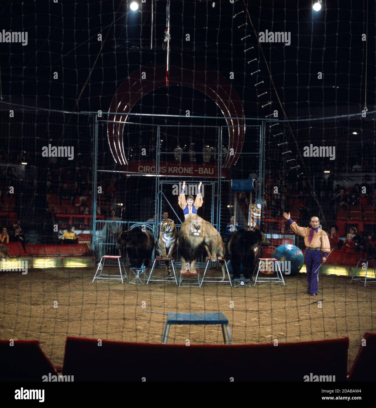 Henryk und Teresa Wawrzyniak mit Raubtiernummer, 1976. Henryk und Teresa Wawrzyniak spielen mit ihren Raubtieren im Zirkus Krone, 1976. Stockfoto