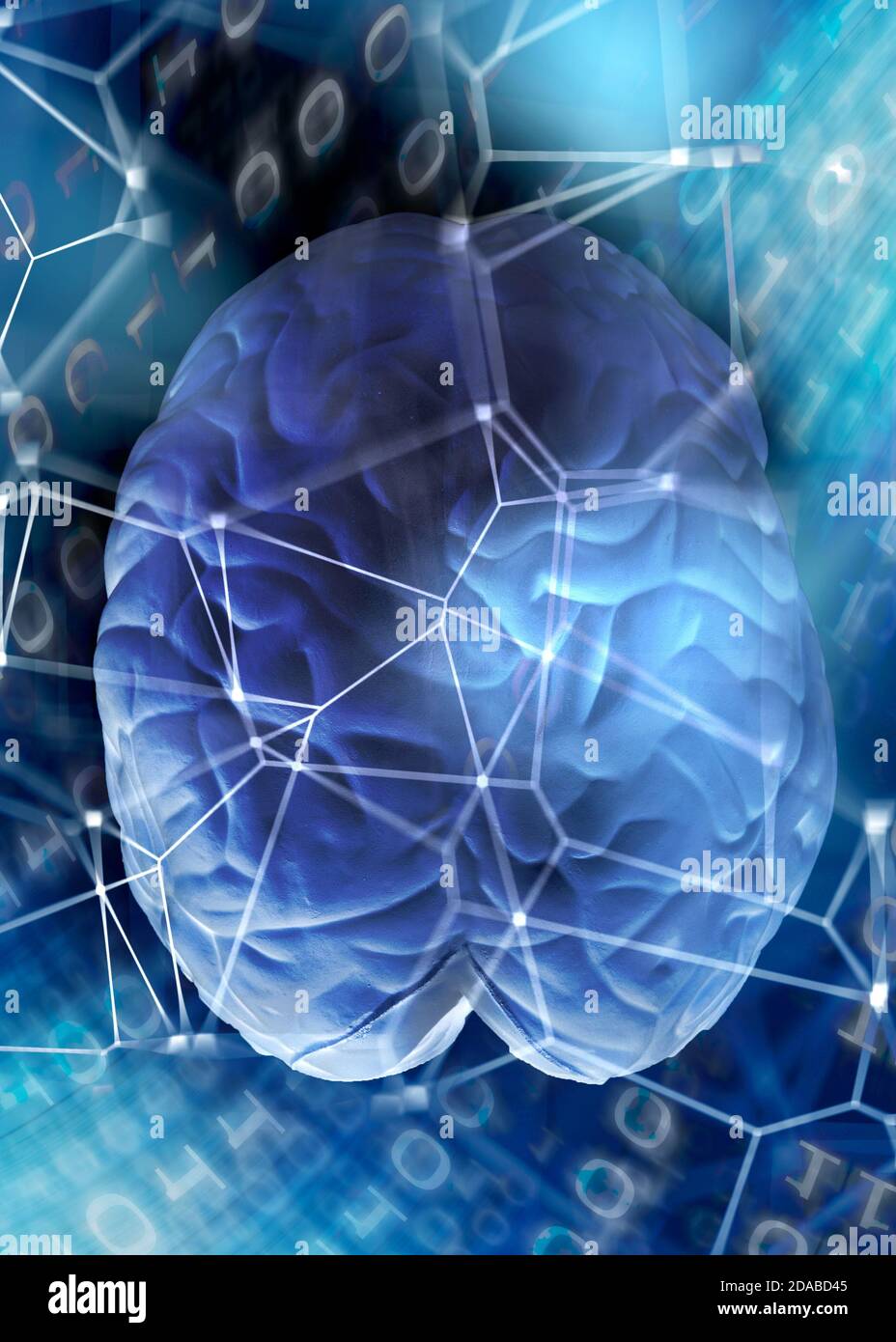 Neuroanreicherung des menschlichen Gehirns Konzept Stockfoto