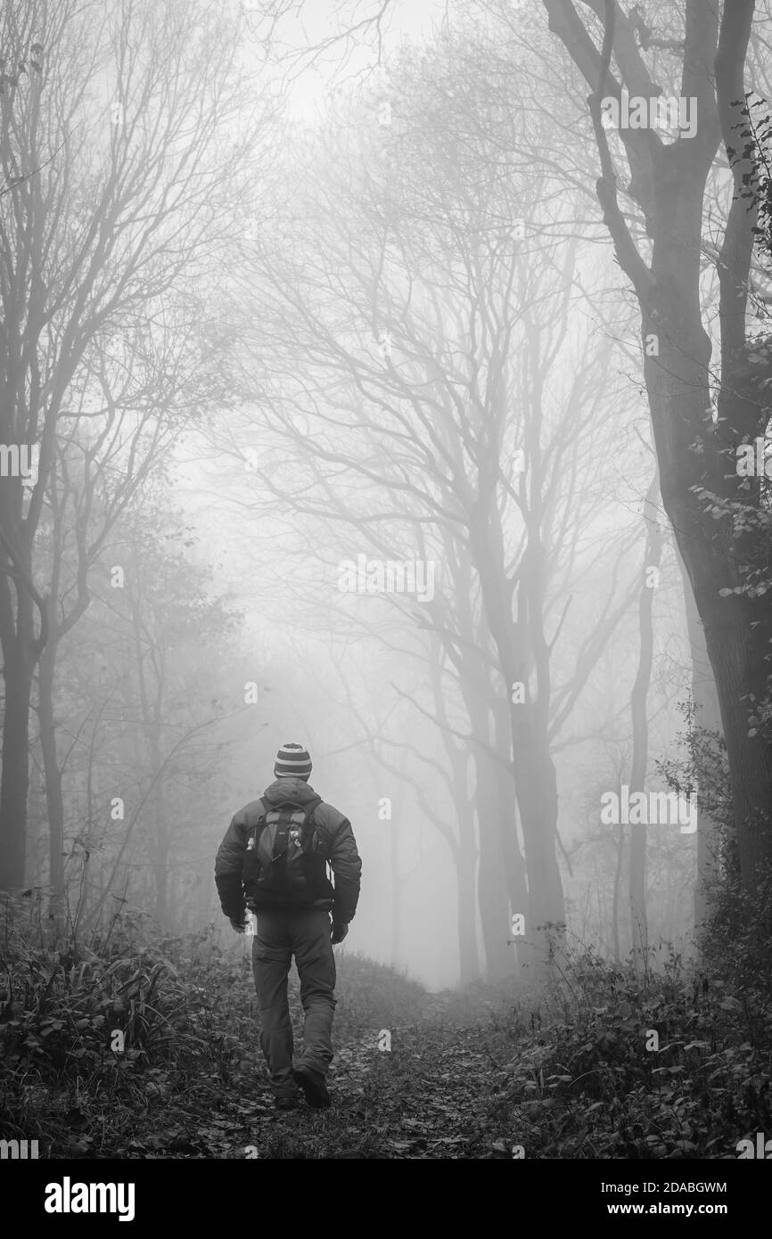 Monochrome Rückansicht von isolierten Mann mit Rucksack zu Fuß im Freien in UK Wald in frühen Morgen Herbst Nebel. Stockfoto