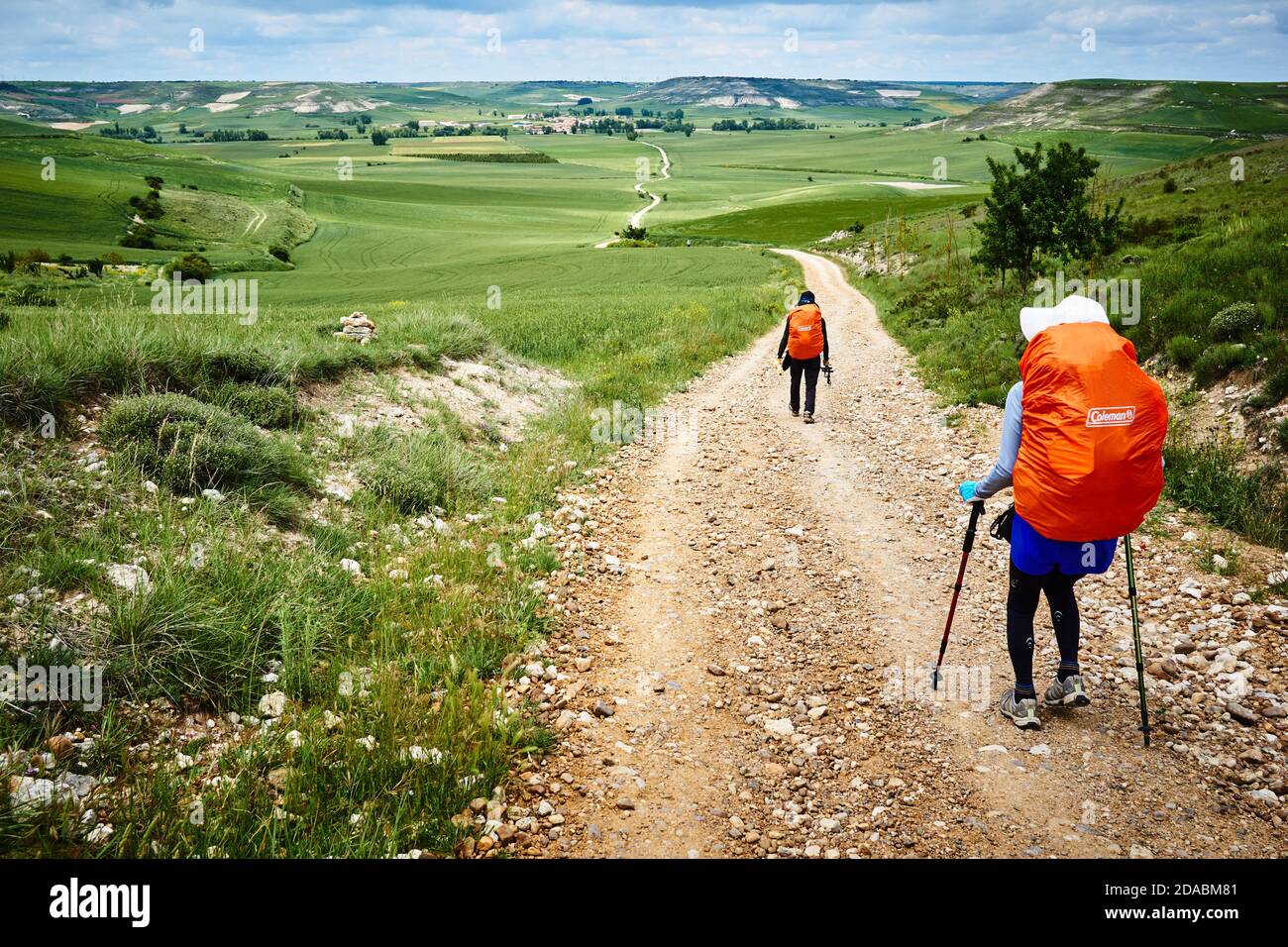 Der Weg erweitert den Horizont über den Burgos paramo. In der Nähe von Hornillos del Camino, Burgos, Kastilien und Leon, Spanien, Europa Stockfoto