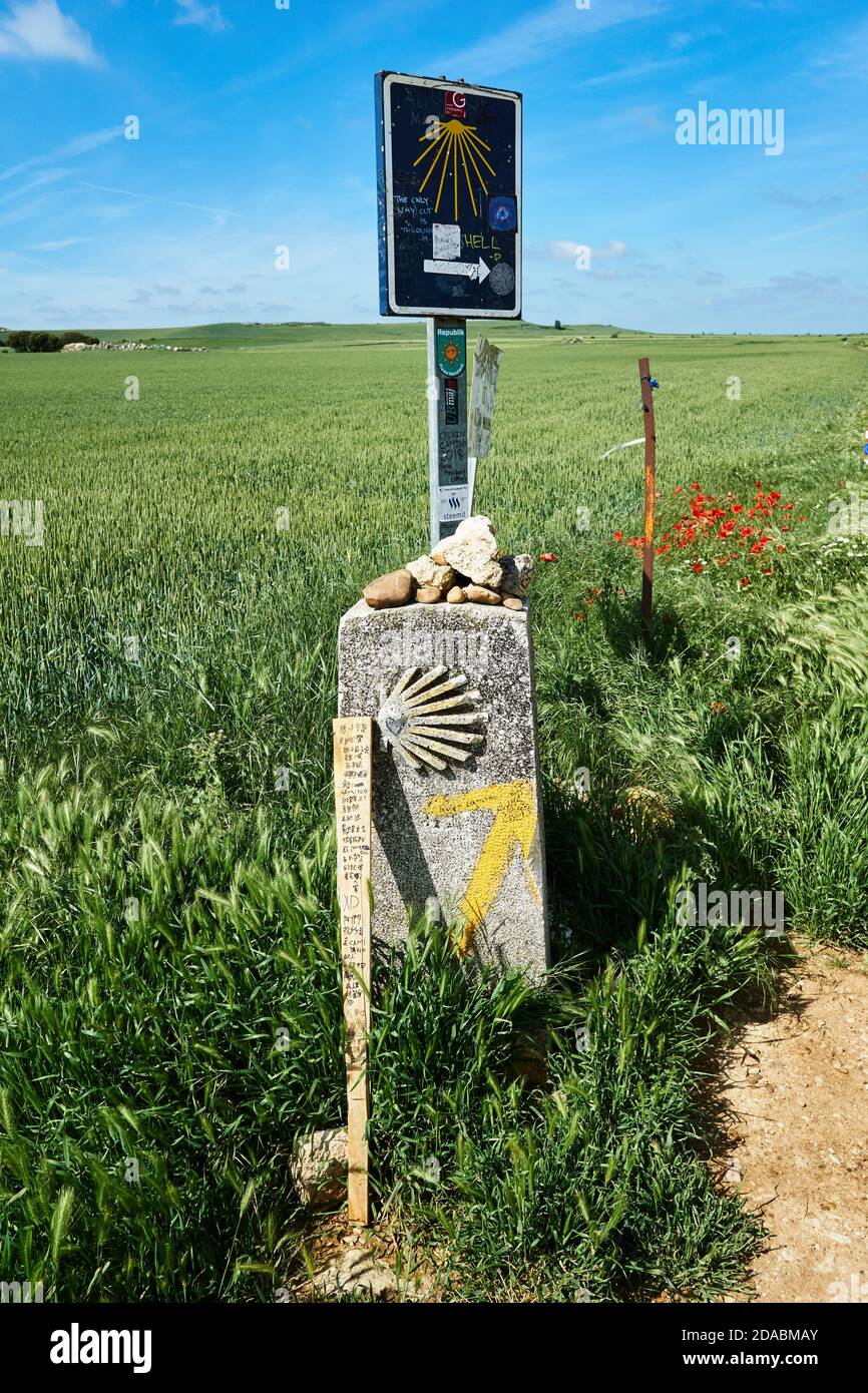 Meilenstein auf dem Weg. Französischer Weg, Jakobsweg. In der Nähe von Hontanas, Burgos, Kastilien und Leon, Spanien, Europa Stockfoto