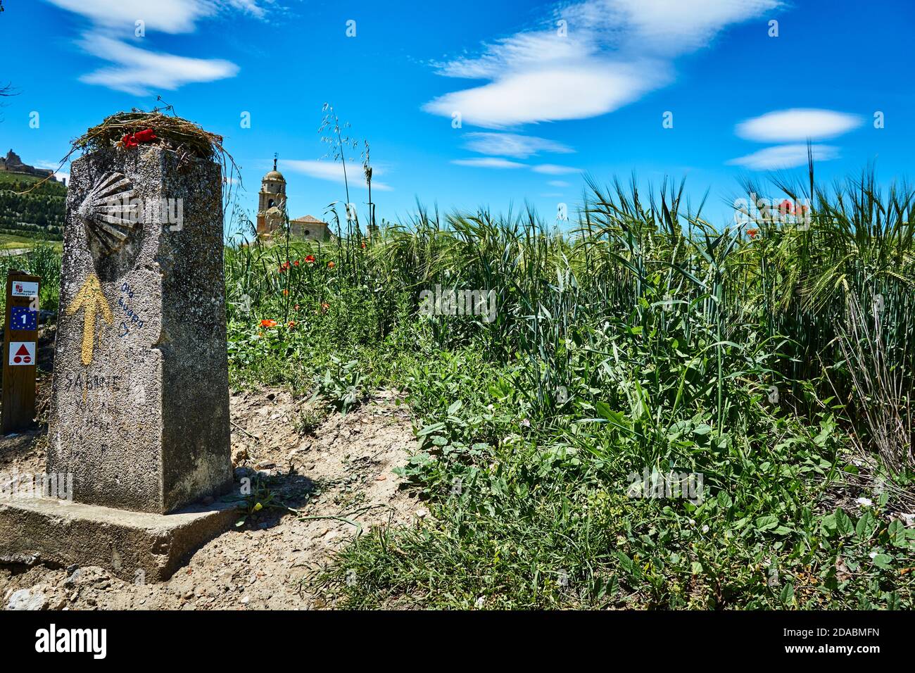 Meilenstein auf dem Weg. Französischer Weg, Jakobsweg. Castrojeriz, Burgos, Kastilien und Leon, Spanien, Europa Stockfoto