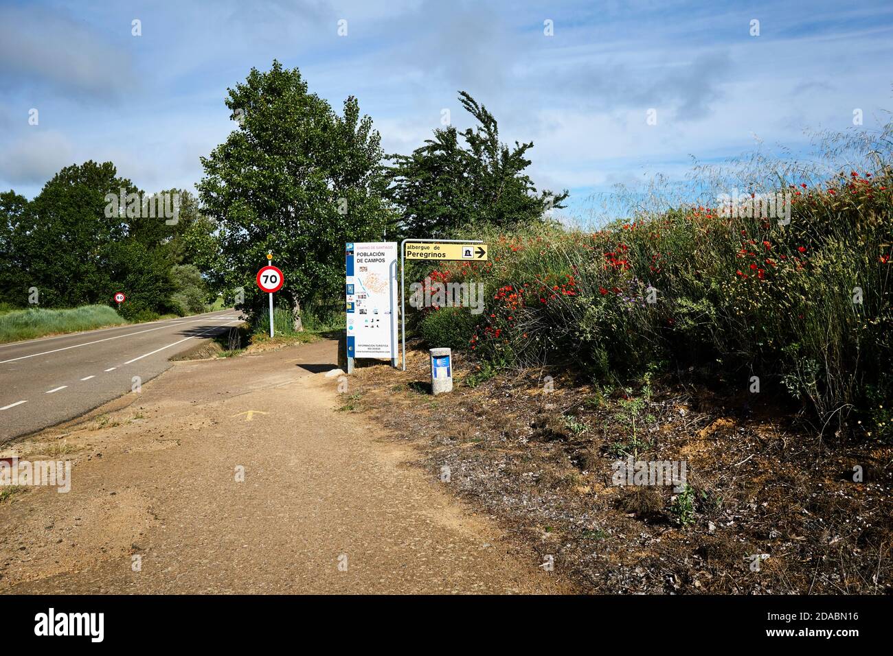 Abweichung vom Weg zur Stadt Población de Campos. Französischer Weg, Jakobsweg. Palencia, Kastilien und Leon, Spanien, Europa Stockfoto