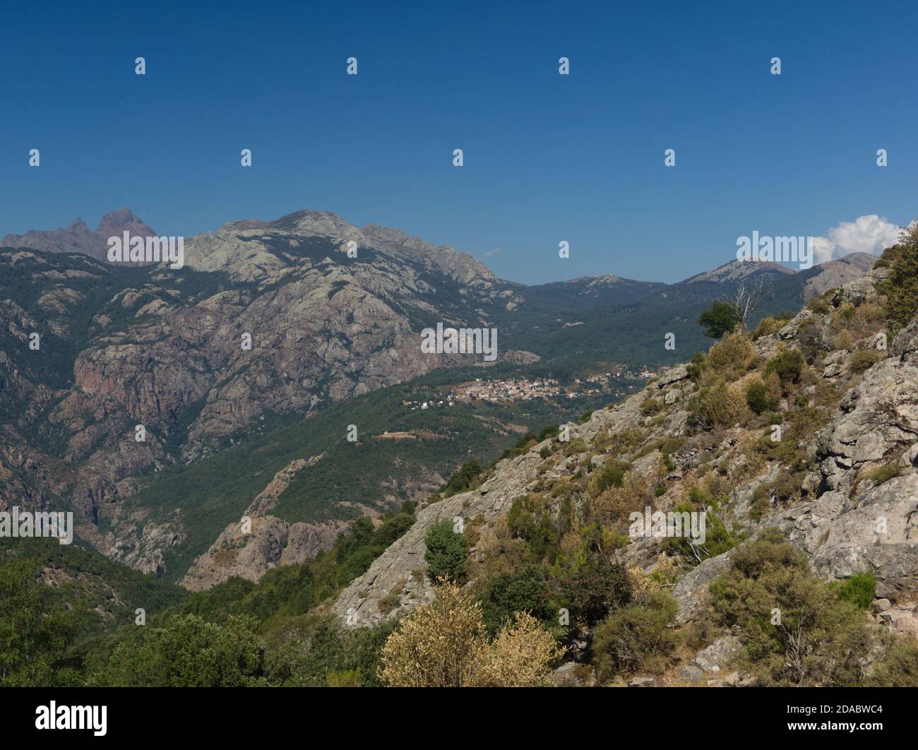 Panorama von Felsen und Wäldern in den Bergen unter dem Blauer Himmel von Korsika Stockfoto