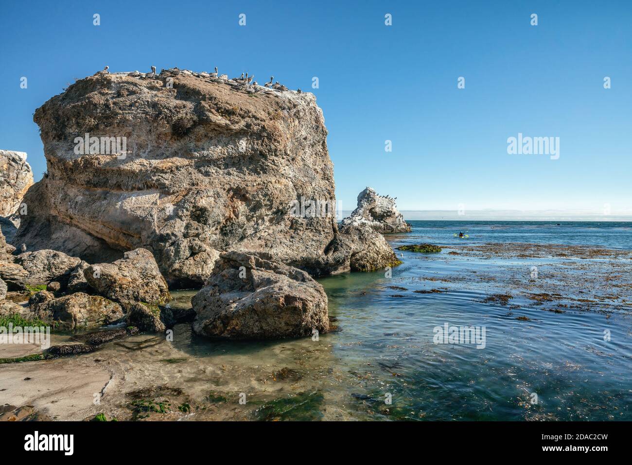 Kajakfahren auf dem Meer. Höhlen, Bögen und Felsen am Pismo Beach, Kalifornien Stockfoto