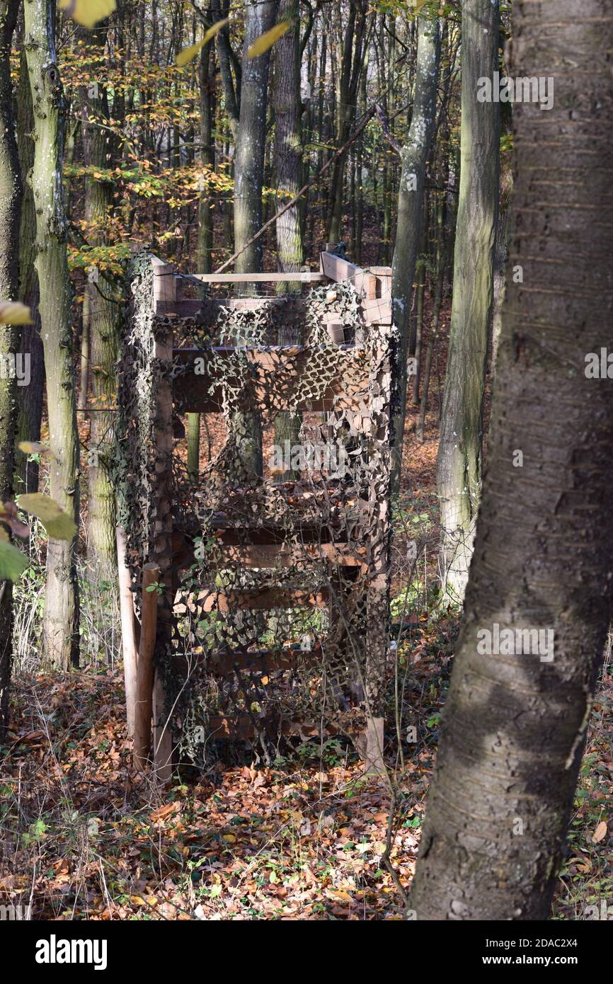 Jäger stehen im Wald Stockfoto