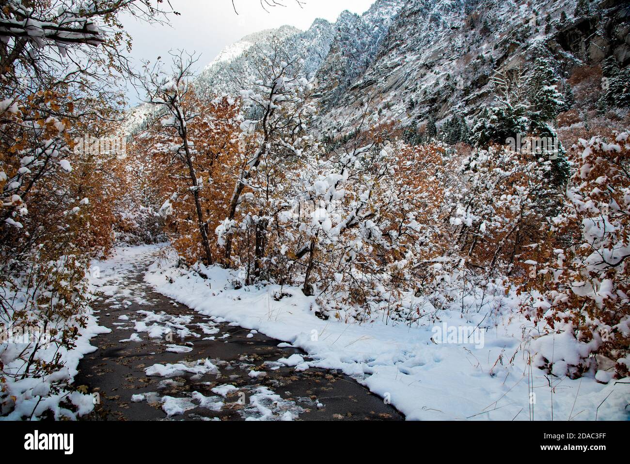 Schneebedeckte Wanderwege und Farben des späten Herbstes. Es ist nicht ungewöhnlich, dass der letzte Herbst und der erste Winter in dieser bergigen Gegend zusammenstoßen. Stockfoto